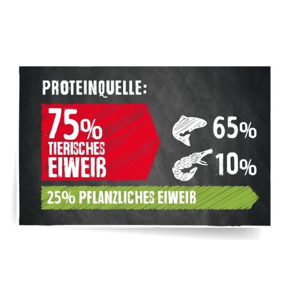 BELCANDO® FINEST GF SALMON Trockenfutter Hunde & Katzen Tiernahrung von Belcando und Leonardo