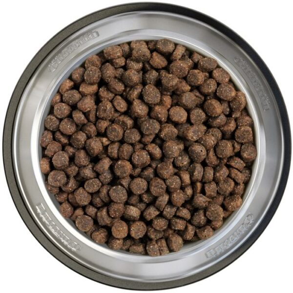 BELCANDO® FINEST GF SALMON Trockenfutter Hunde & Katzen Tiernahrung von Belcando und Leonardo