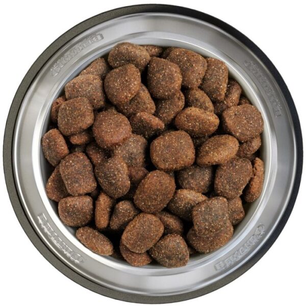 BELCANDO® ADULT GF OCEAN Hundefutter & Zubehör Hunde & Katzen Tiernahrung von Belcando und Leonardo