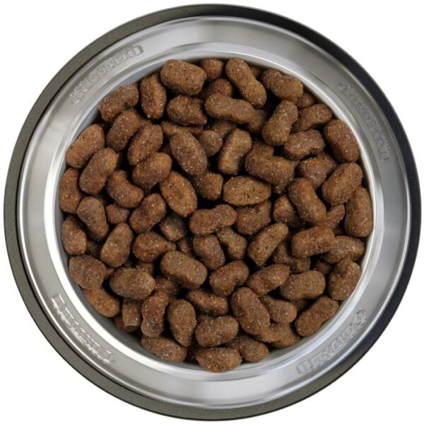BELCANDO® ADULT GF BEEF Hundefutter & Zubehör Hunde & Katzen Tiernahrung von Belcando und Leonardo