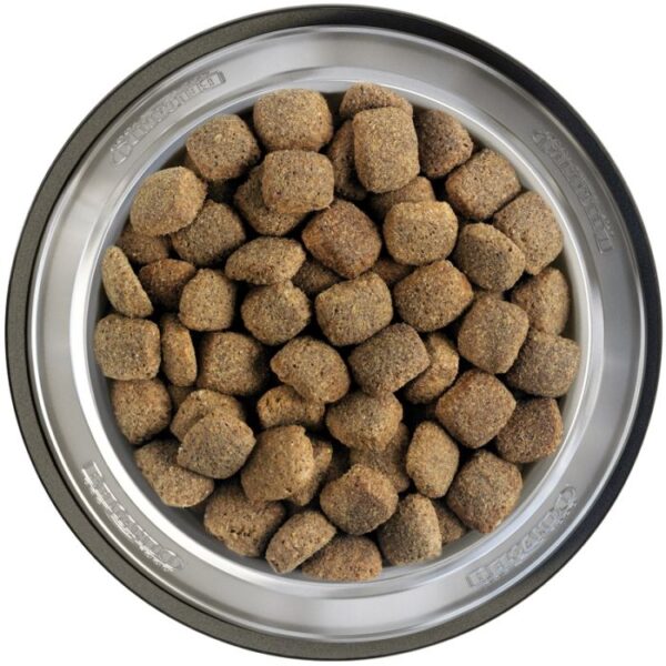 BELCANDO® JUNIOR MAXI Belcando 30% Fleisch Hunde & Katzen Tiernahrung von Belcando und Leonardo