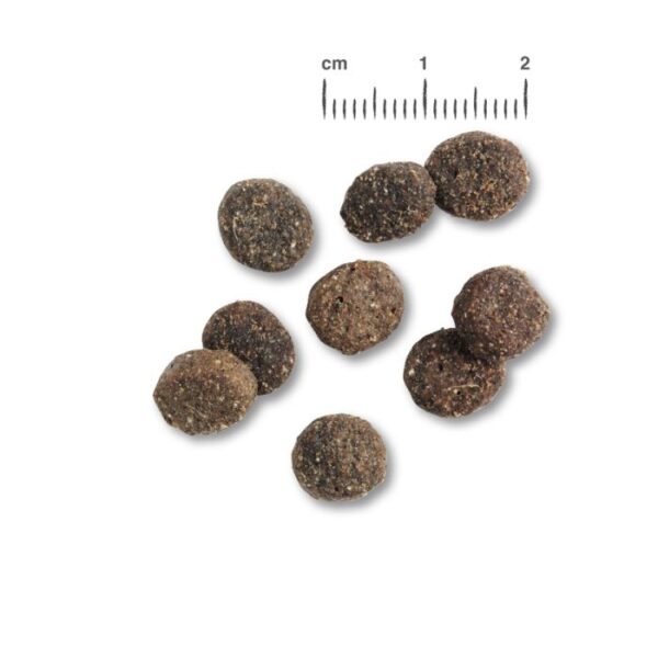 BELCANDO® FINEST GF LAMB Belcando Getreide Frei Hunde & Katzen Tiernahrung von Belcando und Leonardo