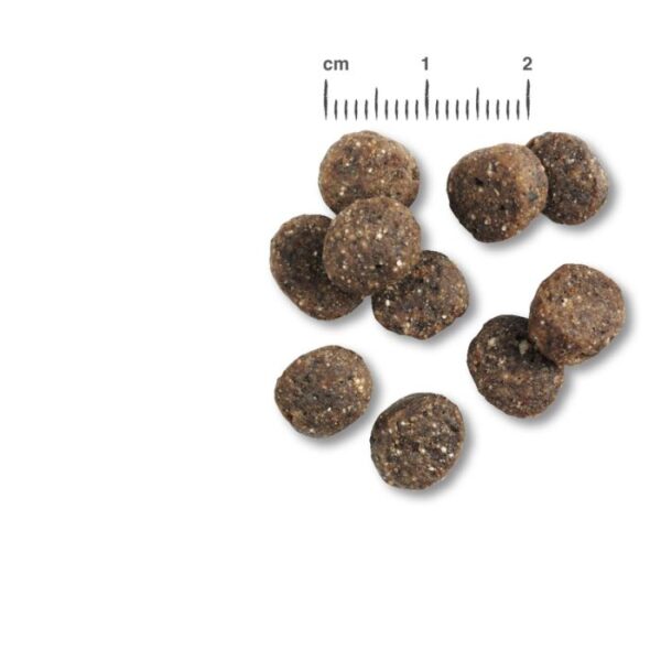BELCANDO® FINEST GF SALMON Trockenfutter Hunde & Katzen Tiernahrung von Belcando und Leonardo