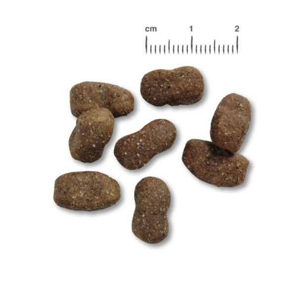 BELCANDO® ADULT GF BEEF Hundefutter & Zubehör Hunde & Katzen Tiernahrung von Belcando und Leonardo
