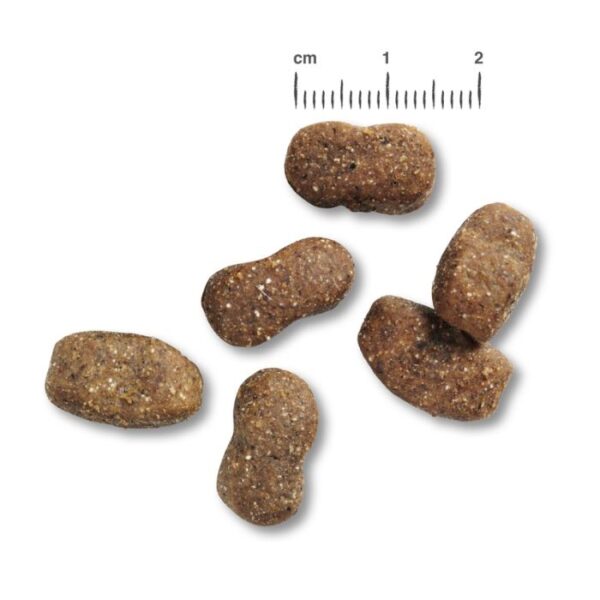 BELCANDO® ADULT LAMB & RICE Trockenfutter Hunde & Katzen Tiernahrung von Belcando und Leonardo