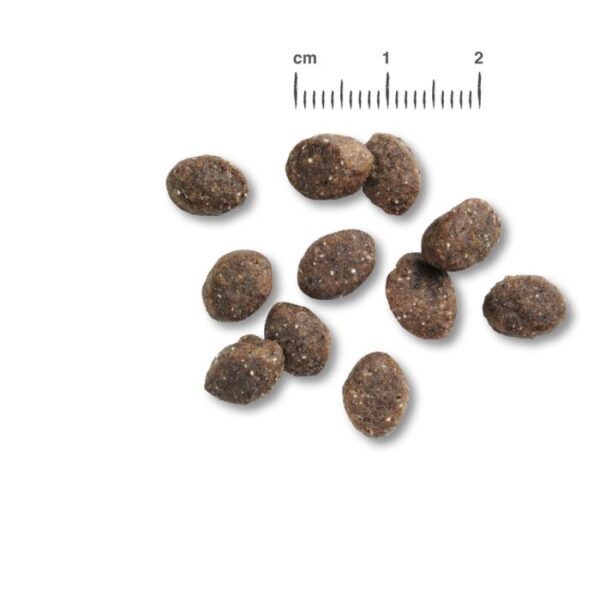 BELCANDO® PUPPY GF POULTRY Belcando Getreide Frei Hunde & Katzen Tiernahrung von Belcando und Leonardo